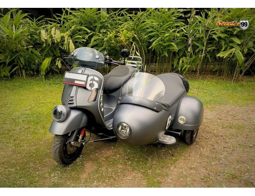 Sidecar Kit Matte Grey Racing Edition